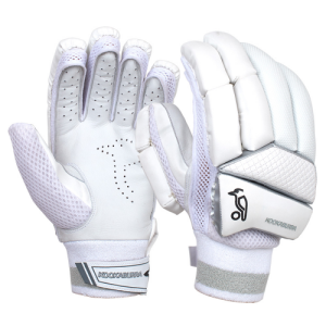 Cricket Protection