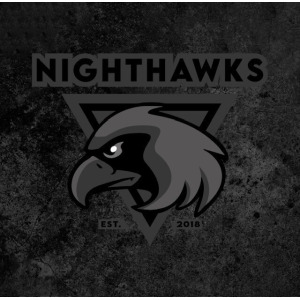 Norwich Nighthawks Dodgeball