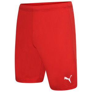 Puma Football Shorts