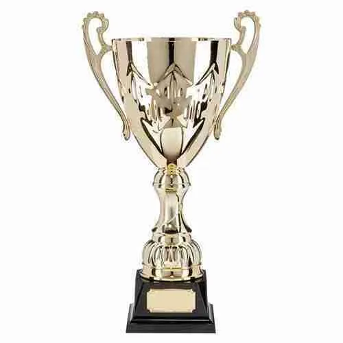 NCYFL League Winner Replica